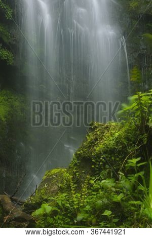 Fresh Waterfall
