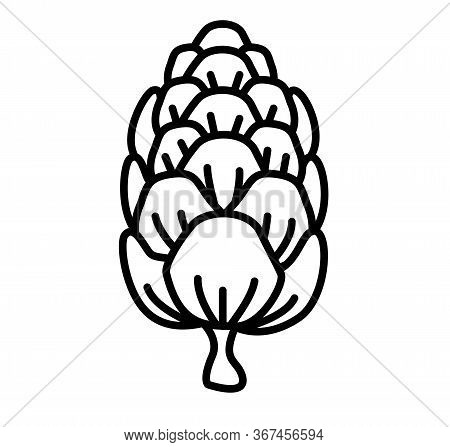 Larch Cone Vector Illustration - Conifer Cone Logo Design