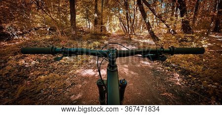 Beautiful Autumn Mountain Bike Trail Seen From The Eyes Of A Biker, With A Mountain Bike Handlebars 