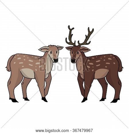 Cute Forest Doe And Stag Love Vector Illustration. Buck Deer With Antlers. Childlish Hand Drawn Dood