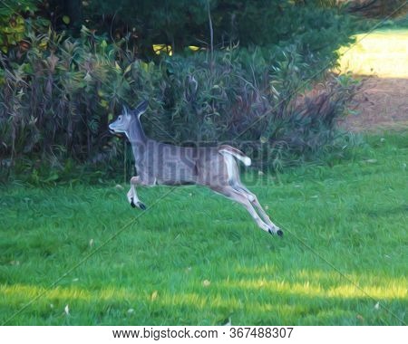 An Oil Painting Effect On A Picture Of A Young Deer Leaping