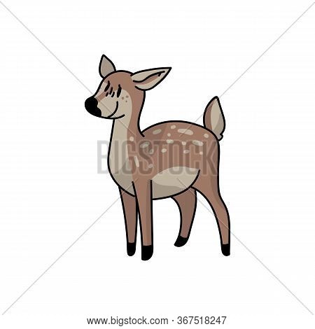 Cute Forest Doe Vector Illustration. Buck Deer With Antlers. Childlish Hand Drawn Doodle Style. For 