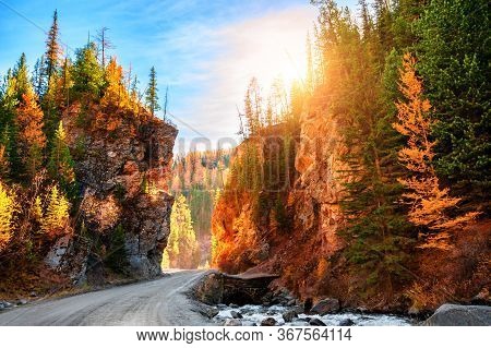 Autumn Landscape Of Mountain Gorge 
