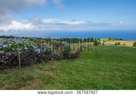 Walk On The Azores Archipelago. Discovery Of The Island Of Sao Miguel, Azores.