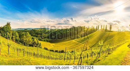 Austria Vineyards Sulztal Weinstrasse South Styria Tourist Spot, Wine Country Places To See