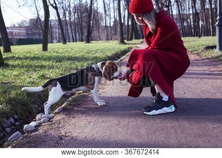 Pretty Young Girl In Redd Coat Playing With Dog Outside In Green Park, Lifestyle People Concept