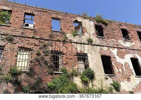 Old Adandoned Ruin Building Brick Wall With Trees Grown On The Stone Wall