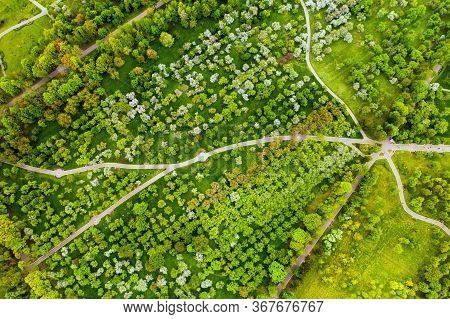 View From The Height Of The Loshitsky Park In Minsk.winding Paths In Loshitsky Park.belarus.apple Or