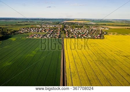 Top View Of The Yellow Rapeseed Field And The Village. A Sown Field Of Rapeseed In Belarus.the Villa