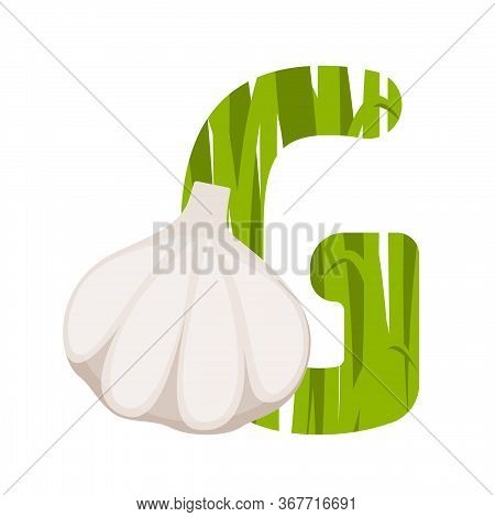 Letter G With Green Grass And Garlic