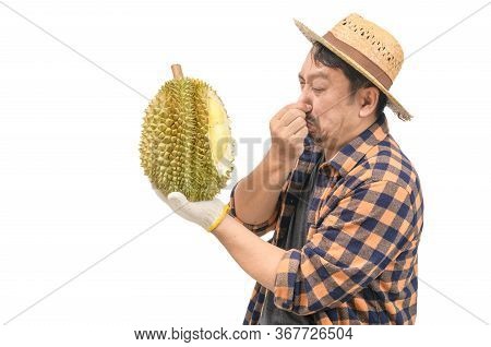 Asian Farmers Hold Durian And Use Their Hands To Cover Their Nose Because Of The Foul Smell Of Duria