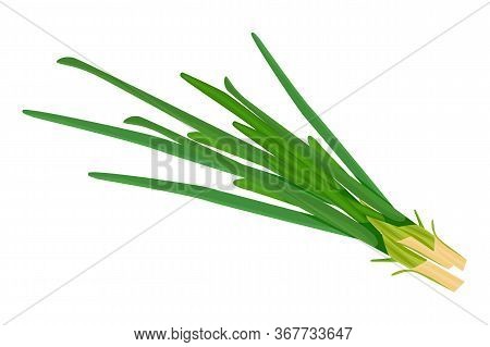 Green Onion Isolated On White Background. Raw Leek Flat Simple Design Icon. Ripe Vegetable Bitter Ch