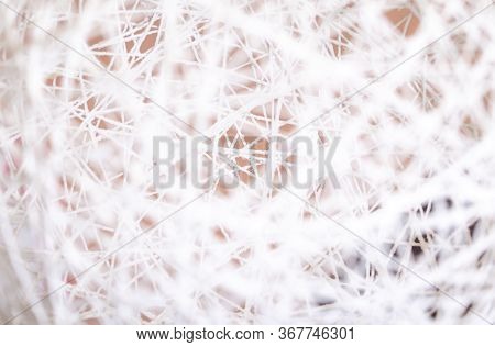 White Texture Background, Fragment Of White Thread Round Bind Surface Of Sphera