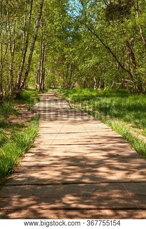 Wooden Path Through The Venner Moor, A Nature Reserve In The Municipality Of Senden In North Rhine-w