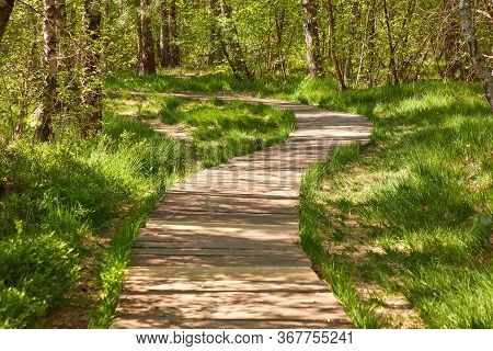 Wooden Path Through The Venner Moor, A Nature Reserve In The Municipality Of Senden In North Rhine-w