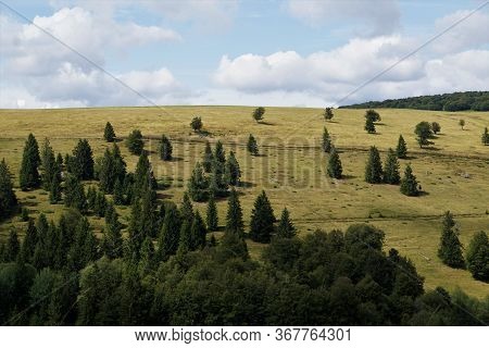 View From The Flanks Of Le Markstein Mountain, France To Hill With Some Trees