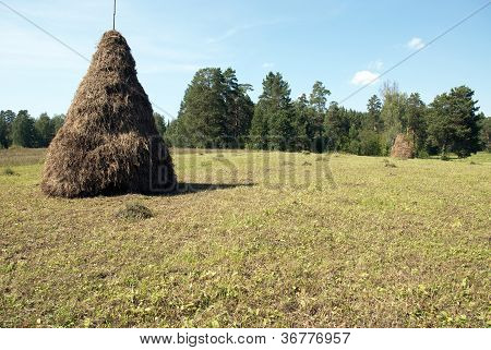 Sheaves
