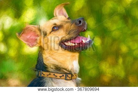 A German Sheppard Dog Is Outdoors Happy With Excitement