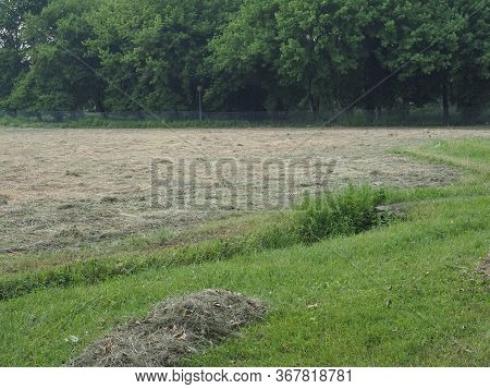 Freshly Cut Hay