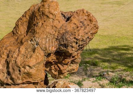 Large Piece Of Brown Granite On Display In Public Rock Garden Park