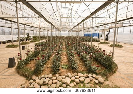 Da Lat, Lam Dong, Vietnam - February 20, 2011: Greenhouse Inside The Bich Cau Dalat Flower Park