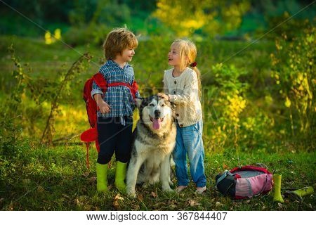 Cute Children With Dog Walking In The Field On A Sunny Summer Day. Kids Having Fun Dog Pet In Field 