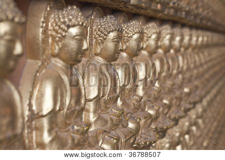 Buddha statue Looking at the temple in Thailand.
