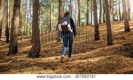Rear View Photo Of Female Tourist With Backpack Cwalking Up The Hill In Pine Forest