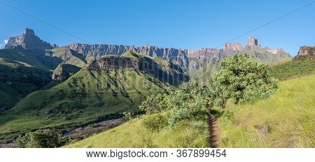 Panoramic View From The Tugela Gorge Hiking Trail Towards The Amphitheatre. The Tugela River And Pro