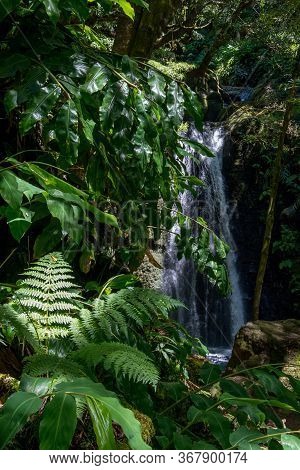 Walk And Discover The Prego Salto Waterfall On The Island Of Sao Miguel, Azores