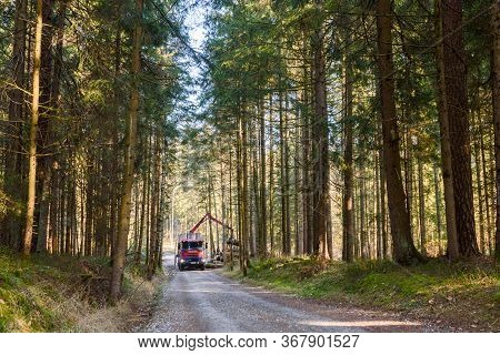 Kaiserwald, Austria - 21.01.2020: Crane In Forest Loading Logs In The Truck. Timber Harvesting And T