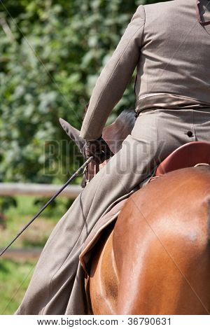 กีฬาขี่ม้าบนม้า Lusitano สีน้ำตาล