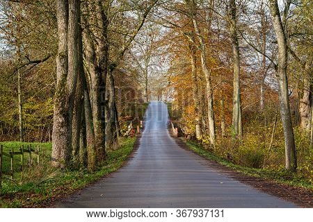 Autumn Picture Of  Rural Road Going Through An Area With Trees