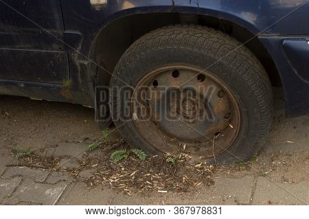 An Old Rusty Tire Wheel Grew Into The Ground, Overgrown With Grass And Leaves. Auto Trash.