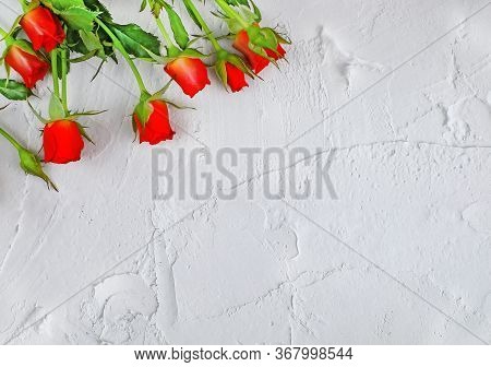 Red Roses Flatlay On White Concrete Backround With Copy Space As Card Concept
