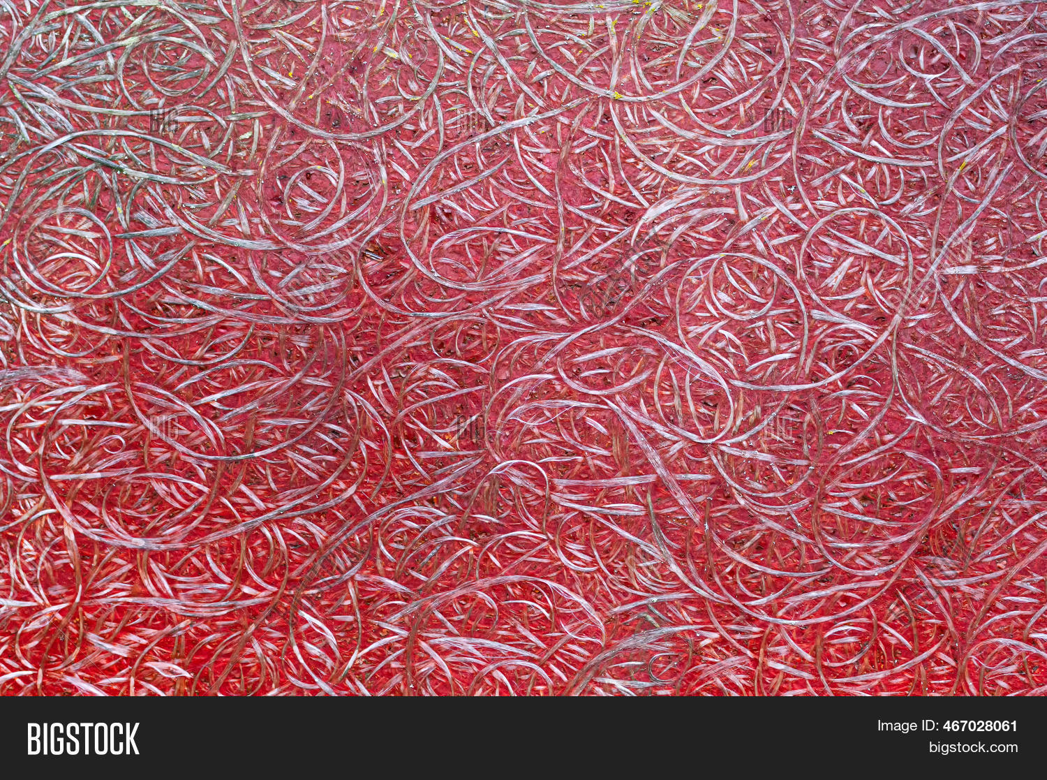 Red Texture Compressed Image & Photo (Free Trial) | Bigstock