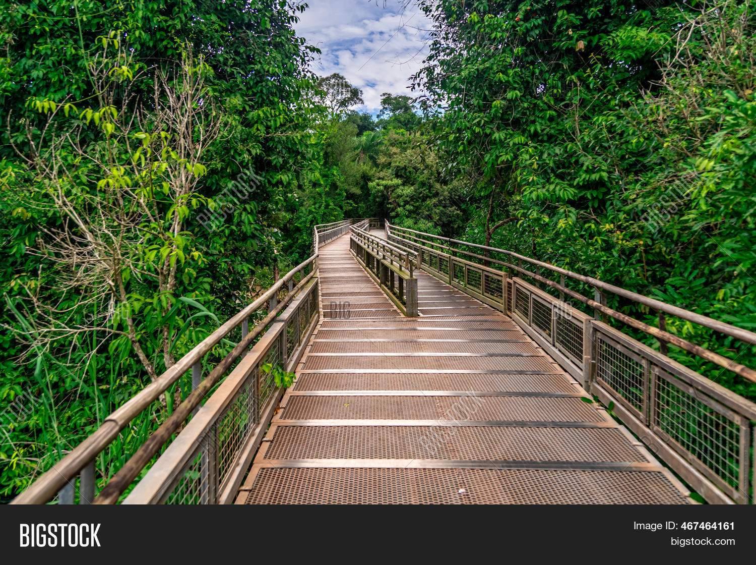 Tourist Lookout Bridge Image & Photo (Free Trial) Bigstock