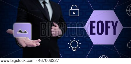 Handwriting Text Eofy. Business Overview A Mega Sale Held On An End Of A Financial Year