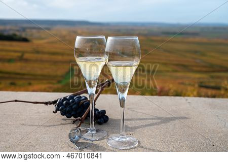 Tasting Of White Brut Champagne Wine Outdoor With View On Colorful Autumn Pinot Noir Grand Cru Viney