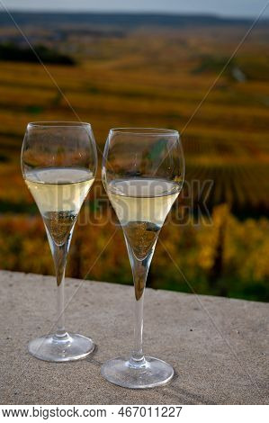 Tasting Of White Brut Champagne Wine Outdoor With View On Colorful Autumn Pinot Noir Grand Cru Viney