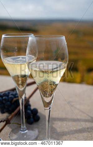 Tasting Of White Brut Champagne Wine Outdoor With View On Colorful Autumn Pinot Noir Grand Cru Viney