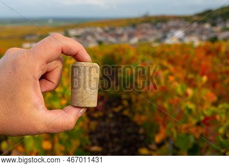 Hand With Unused Champagne Cork And Autumn View On Colorful Grand Cru Champagne Vineyards Near Mouli