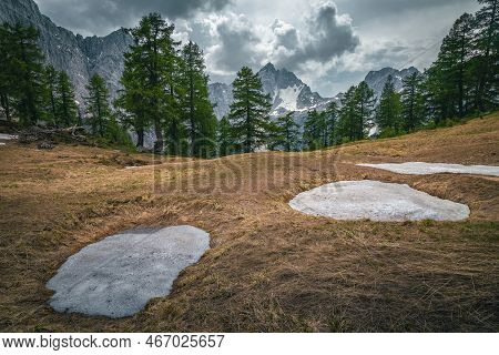 Well Known Alpine Place With Green Larch Forest And Beautiful Snowy Mountains, Near Kranjska Gora, S