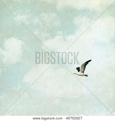Vintage Seagull