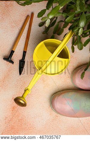 Watering Can With Gardening Tools And Green Plant On Color Textured Background, Flat Lay