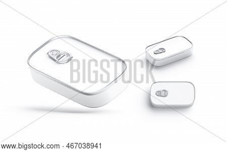 Blank Aluminum Sardine Conserve Can Label Mockup, Different Views, 3d Rendering. Empty Preserved Jar