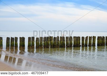Breakwater On The Beach Of The Baltic Sea Near Rewal. Poland