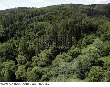 Forest Dieback Caused By The Climate Crisis Is Hitting The Forests In Germany And Bavaria Very Hard