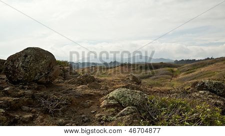 毛伊岛风景