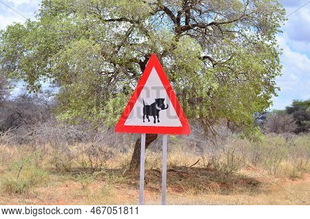 Attention Warthog Road Sign In Namibia Africa